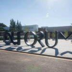 Amares quer jovens para participarem em acção de voluntariado nas florestas