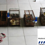 Vereador do PS lembra final de ano letivo “atípico” e diz que “ensino à distância não deve ser regra”