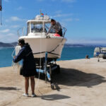 Ricardo Soares quer Moreirense “concentrado” e “motivado” para vencer Aves