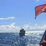 Octogenário condenado a pena suspensa por alvejar vizinho em Vieira do Minho