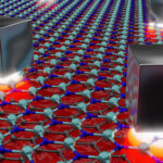 Há quem esteja isento da taxa de acesso na Mata da Albergaria