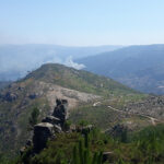 Lenços de Namorados na corrida para as 7 Maravilhas da Cultura Popular