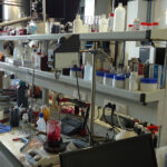 Município de Braga associa-se ao projecto ‘Three4Climate – Três presidências pelo clima’