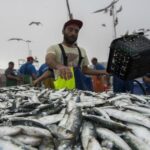 Câmara de Amares oferece livros de atividades a alunos do 1.º ciclo do ensino básico