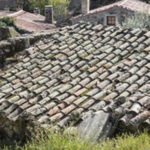 Ordem dos Médicos admite novas auditorias e critica primeiro-ministro