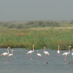 Ministra da Segurança Social inaugura ‘Casa da Alegria’ em Lanhas
