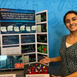 Braga Noivos regressa, este fim-de-semana, ao Altice Forum Braga