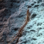 Autoridade Marítima Nacional desaconselha a ida a banhos no primeiro dia do ano