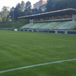 Segredo para a investigação do cancro pode estar escondido nas baleias