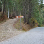 Carvalhal diz que SC Braga saiu reforçado da derrota com a AS Roma
