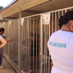 57% dos portugueses sentem-se emocionalmente positivos e otimistas quanto à sua situação e à do país