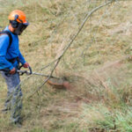 Carolina Santos vence primeira edição do concurso ‘Fora da Caixa’