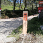 30% dos portugueses com doença grave acusam a pandemia de prejudicar a sua saúde