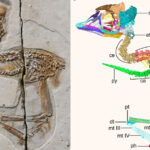 Governo adia assinatura do contrato de concessão do Mosteiro de Rendufe em Amares