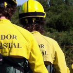 Menos de um mês depois de chegar, Bruno Alves está de saída do Famalicão