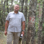 83% dos portugueses tencionam comprar material escolar nas grandes superfícies