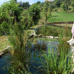 Portugal regista mais 2.306 casos e 8 mortes nas últimas 24 horas