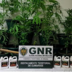 Combate ao cancro do ovário