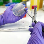 Arcos de Valdevez dispensa o pagamento de IMT a jovens do município