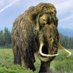 Não são só bilionários que vão viajar para o Espaço, a publicidade também