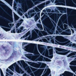 Descobertos cadáveres de guerreiros do século XIII e podem ter sido enterrados pelo Rei Luís IX