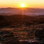 Mulher atacada na cabeça por vespas asiáticas em Vila Verde