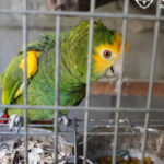 Viana do Castelo investe 500 mil euros para acolher 20 sem-abrigo