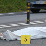 Caminhada ambiental em defesa da floresta realiza-se em Vila Verde