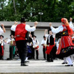 Cardiologistas partilham conhecimento sobre tratamento das lesões coronárias calcificadas