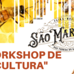 Livro sobre ‘casinhas escondidas’ no Monte Castelo, em Vila Verde, apresentado a 20 de novembro