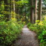 CDU diz que Mosteiro de Tibães é um exemplo da necessidade de investimento no património da região