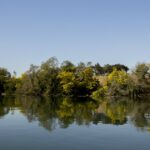 Amarense Miguel Santos é o novo treinador do Tammeka da Estónia