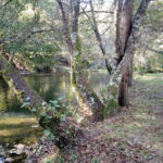 Braga encerrou com chave de ouro o EMACI 2022