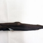 Vila Verde vai receber 22 alunos e 12 professores no âmbito de projeto Erasmus+