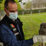 CR7 está a demolir campo de futebol na mansão do Gerês