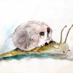 Já há horários para os jogos do Vitória SC frente ao Puskás Akadémia