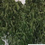 Impasse no caso dos moradores de Ferreiros por alegados danos causados por obra