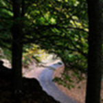 Álvaro Pacheco espera campeonato “mais competitiva e exigente”