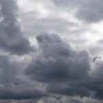 Tradicional malhada de feijão  reforça vitalidade do mundo rural em Vila Verde