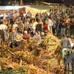 Estacionamento na Praça do Comércio vai ser pago a partir do início do ano