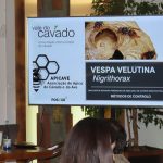 Biblioteca de Prado acolhe exposição “Momentos da Vila de Prado”