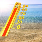 Feira de Agricultura e Doçaria está de volta a Cabanelas