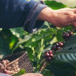 Guimarães destaca projeto enquanto cidade-piloto na Smart City Expo World Congress 2025