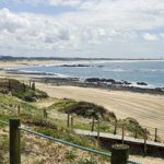 Quinta Pedagógica de Braga lança Banco Alimentar Animal