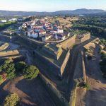 Vai de férias? Saiba como garantir o bem-estar do seu animal de companhia