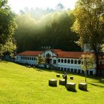 Alimento docinho que todos temos em casa e ajuda a reduzir o colesterol
