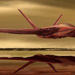 Orca com mais de 6 metros morre após dar à costa na Flórida