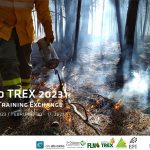 Alunos do Centro Escolar de Vila Verde desfilam guarda chuvas inspirados nos Lenços dos Namorados