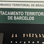 Feira da Escola de Engenharia da UMinho com recorde de ofertas de trabalho