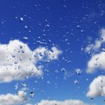 Braga vai capacitar comunidade educativa para lidar com doença oncológica